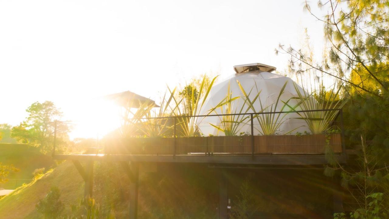 Domus Glamping Guatape Guatapé Exterior foto