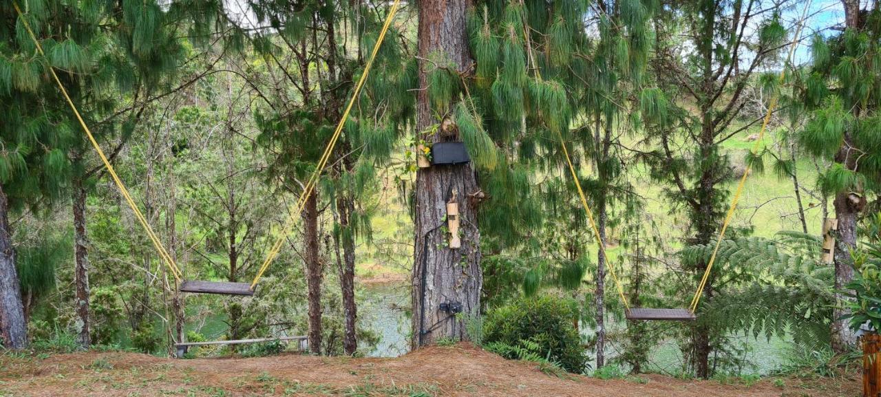 Domus Glamping Guatape Guatapé Exterior foto