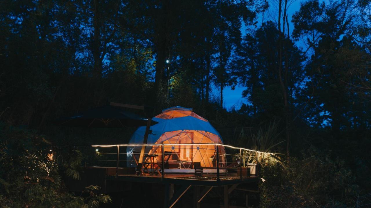 Domus Glamping Guatape Guatapé Exterior foto